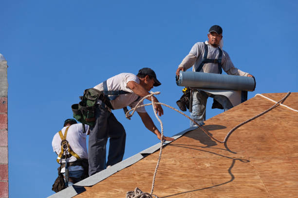 Best New Roof Installation  in Halifax, VA