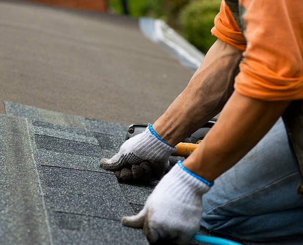 Best Metal Roofing Contractor  in Halifax, VA