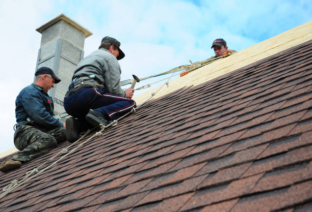 Best New Roof Installation  in Halifax, VA