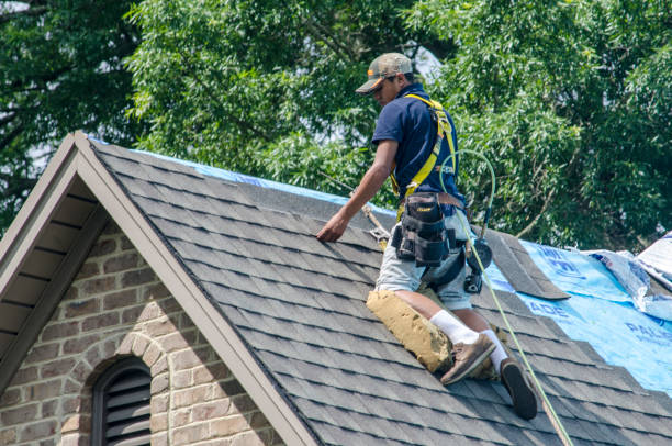 Best Affordable Roof Replacement  in Halifax, VA