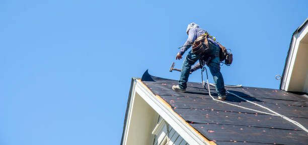 Best Roof Gutter Cleaning  in Halifax, VA